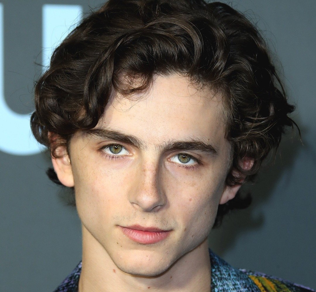 Timothee Chalamet-Net Worth, Songs, Life, Albums, Wife, Age, Children, Height